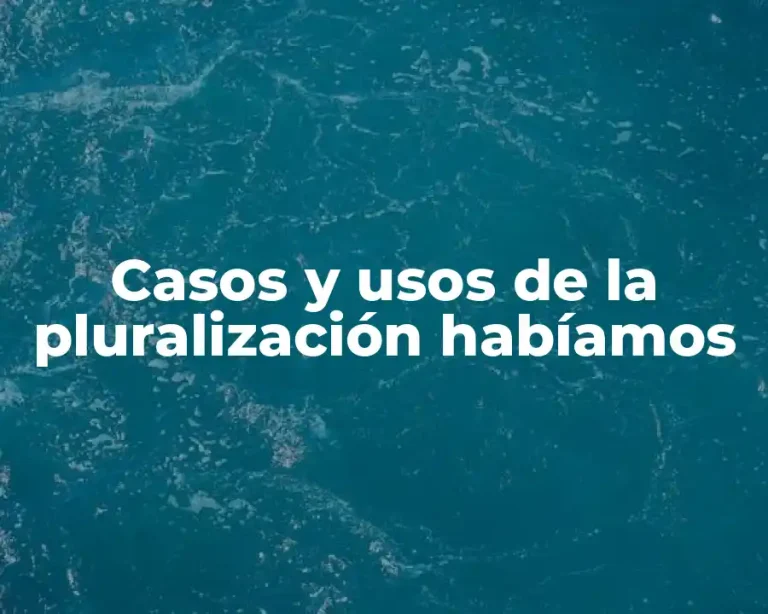 Casos y usos de la pluralización habíamos