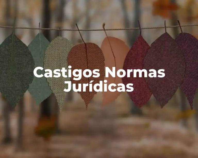 Castigos Normas Jurídicas