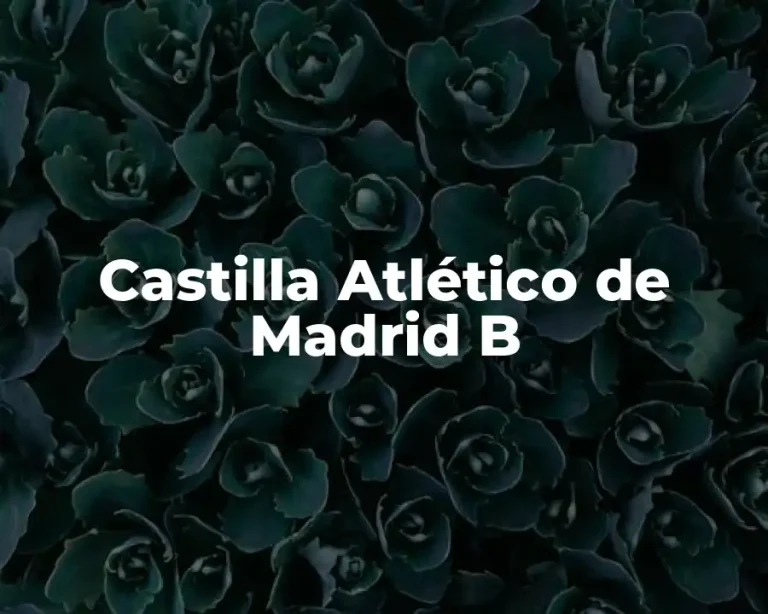 Castilla Atlético de Madrid B