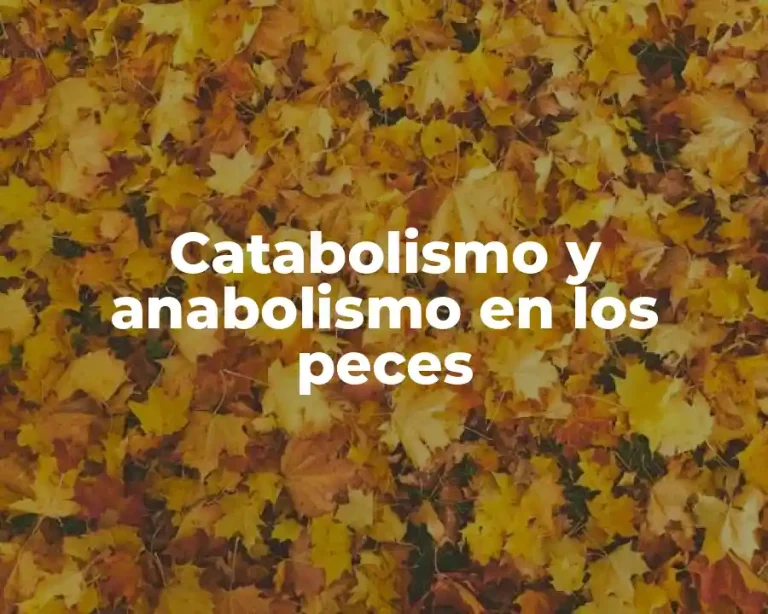 Catabolismo y anabolismo en los peces