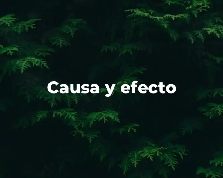 Causa y efecto