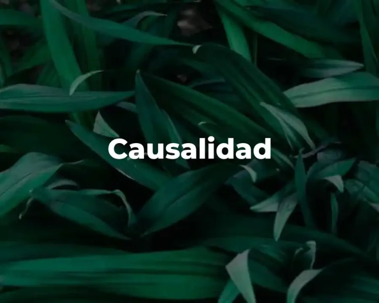 Causalidad