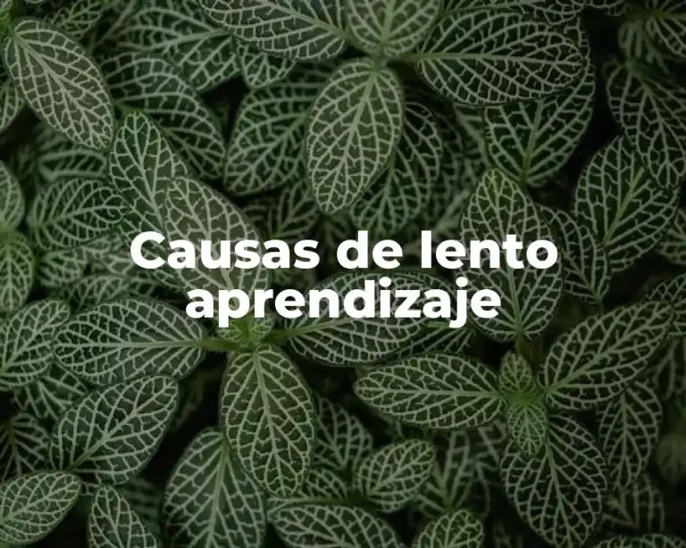 Causas de lento aprendizaje