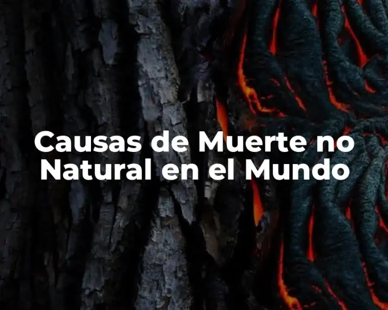Causas de Muerte no Natural en el Mundo
