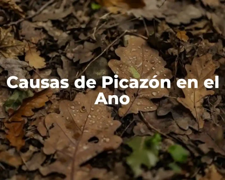 Causas de Picazón en el Ano