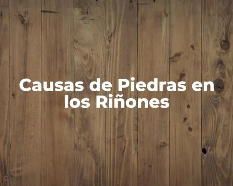 Causas de Piedras en los Riñones