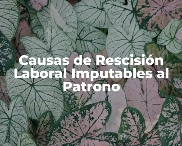 Causas de Rescisión Laboral Imputables al Patrono