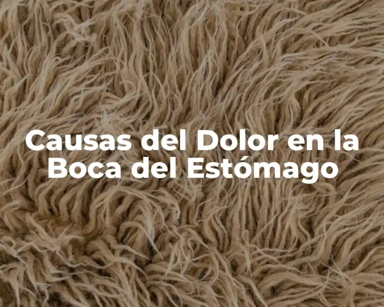Causas del Dolor en la Boca del Estómago