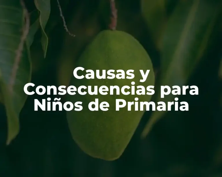 Causas y Consecuencias para Niños de Primaria
