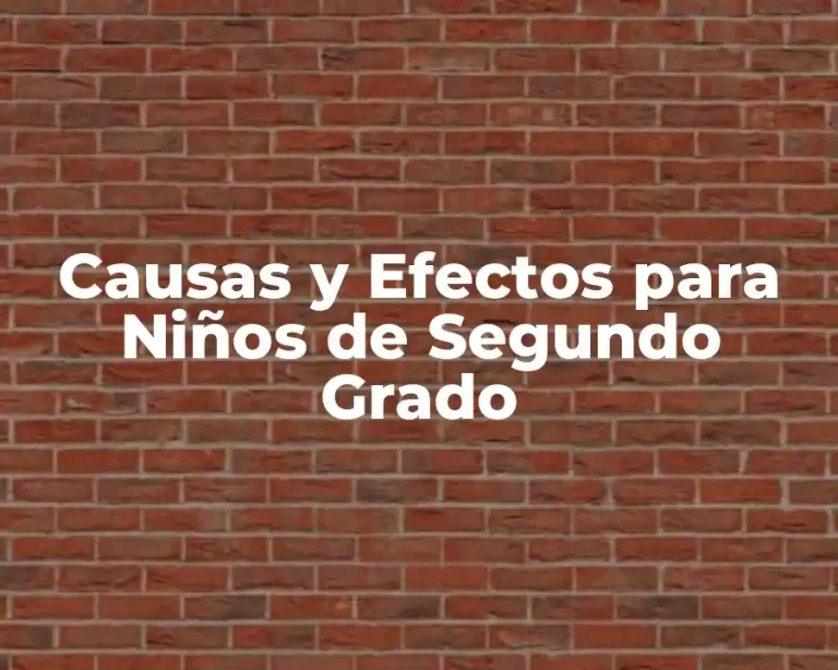 Causas y Efectos para Niños de Segundo Grado