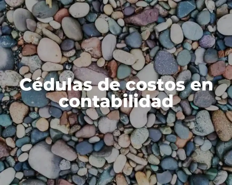 Cédulas de costos en contabilidad