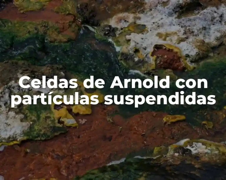 Celdas de Arnold con partículas suspendidas