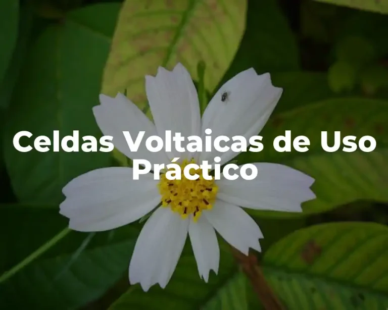 Celdas Voltaicas de Uso Práctico