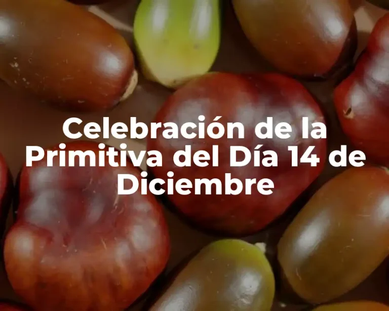 Celebración de la Primitiva del Día 14 de Diciembre
