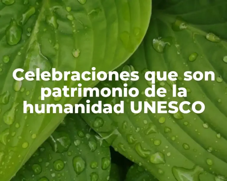 Celebraciones que son patrimonio de la humanidad UNESCO