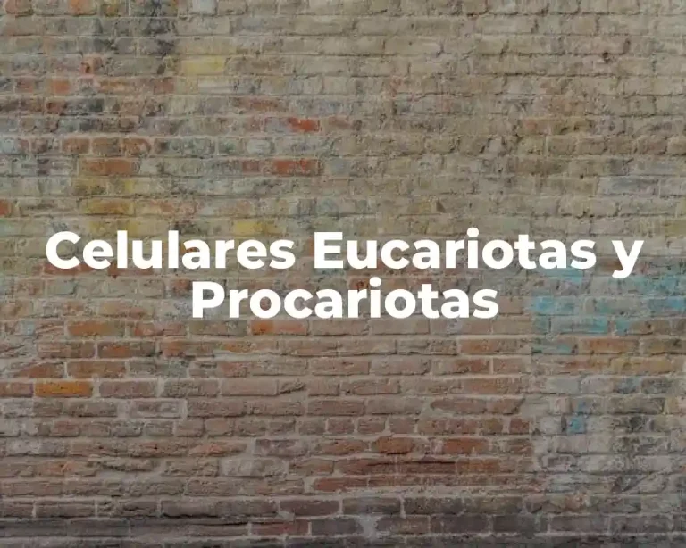 Celulares Eucariotas y Procariotas