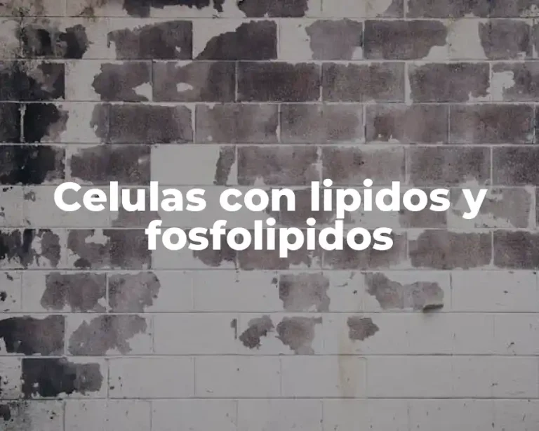 Celulas con lipidos y fosfolipidos