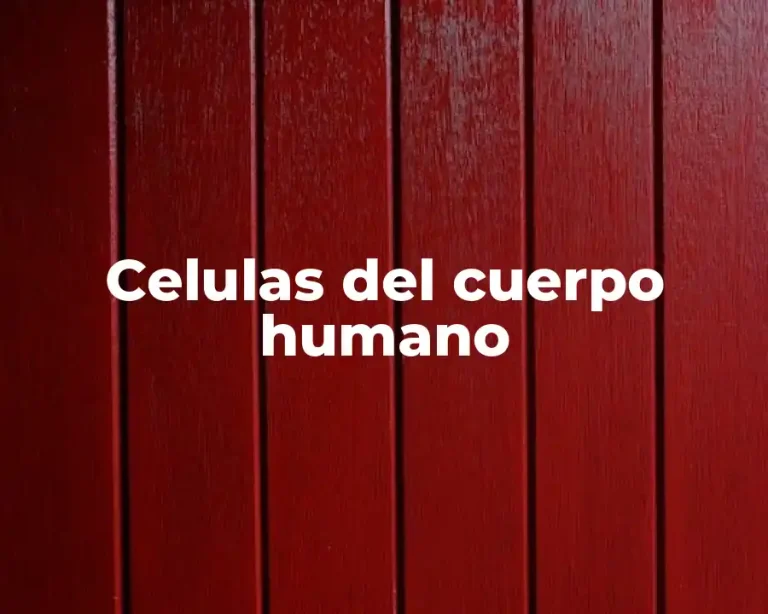 Celulas del cuerpo humano