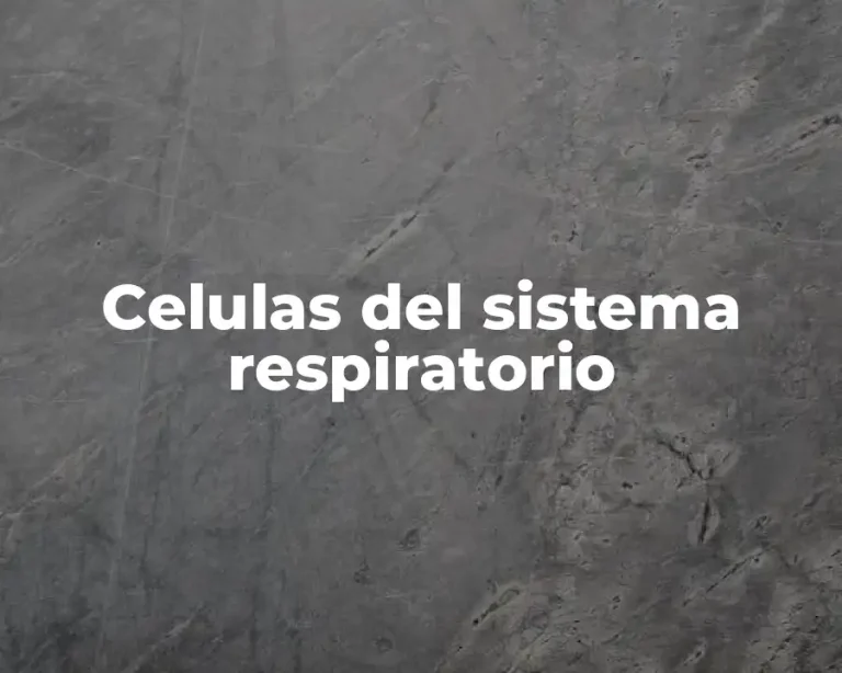 Celulas del sistema respiratorio