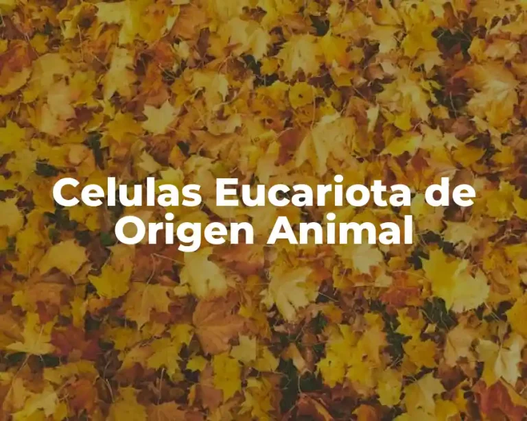 Celulas Eucariota de Origen Animal