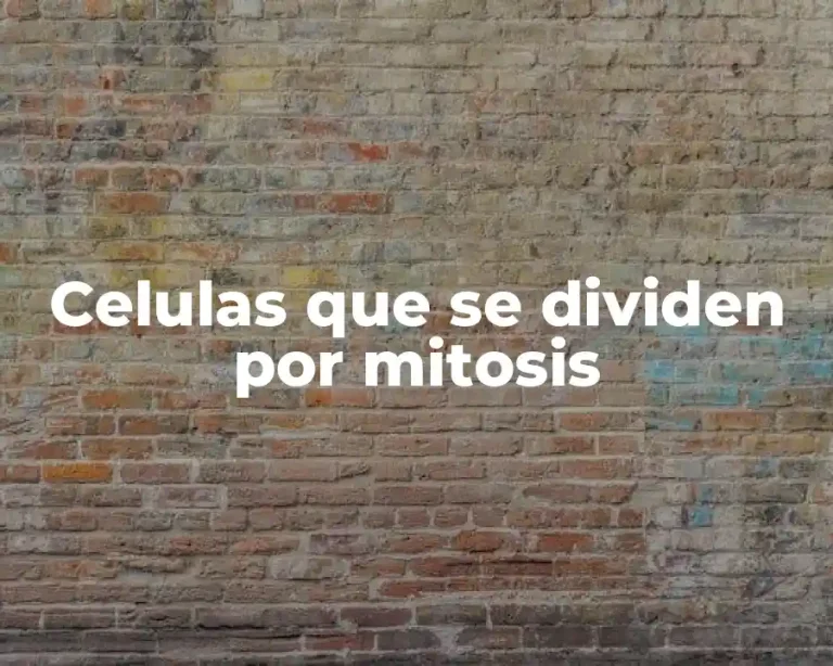 Celulas que se dividen por mitosis