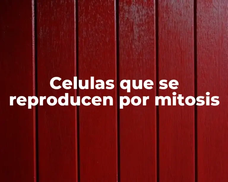 Celulas que se reproducen por mitosis