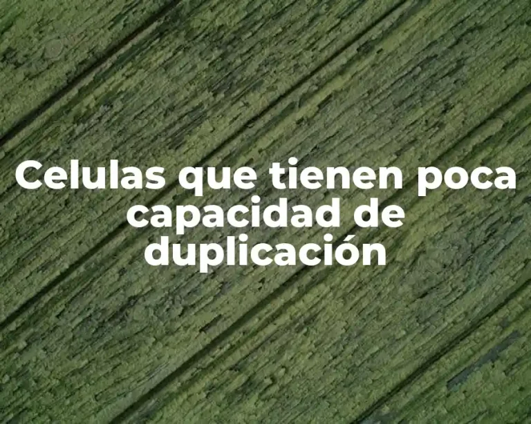 Celulas que tienen poca capacidad de duplicación