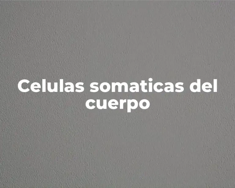 Celulas somaticas del cuerpo