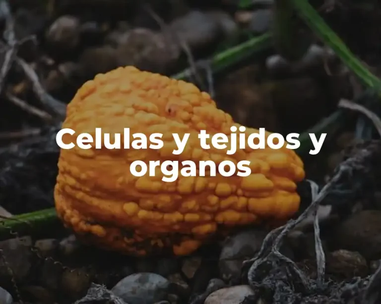 Celulas y tejidos y organos