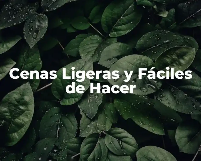 Cenas Ligeras y Fáciles de Hacer