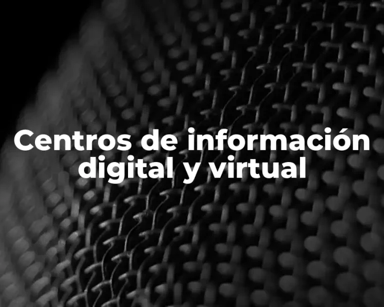 Centros de información digital y virtual