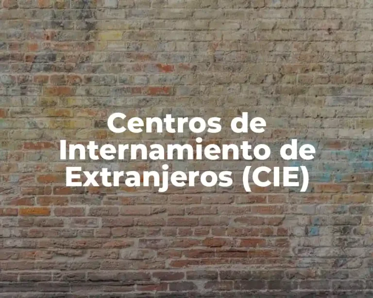 Centros de Internamiento de Extranjeros (CIE)