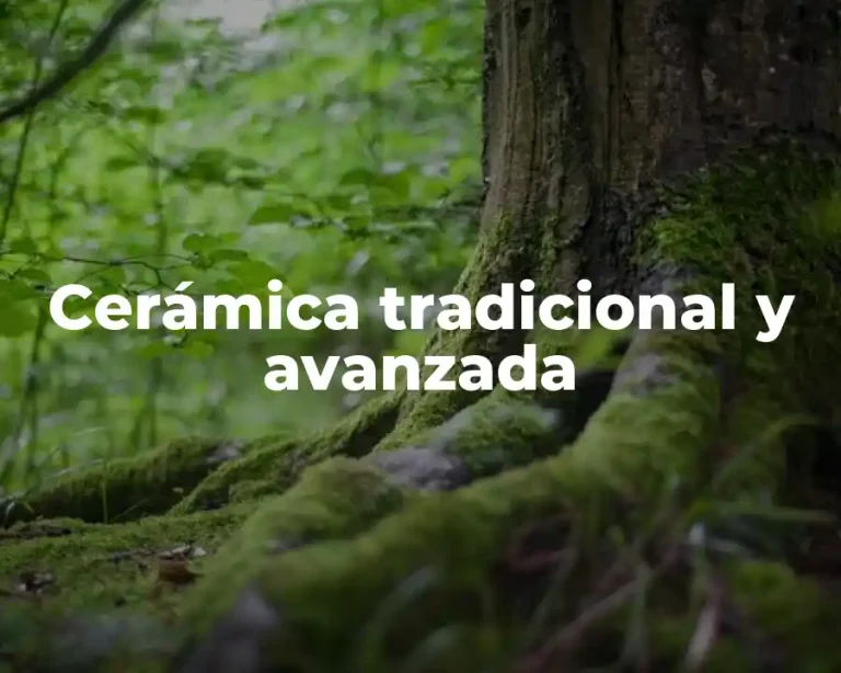 Cerámica tradicional y avanzada