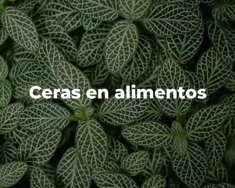 Ceras en alimentos