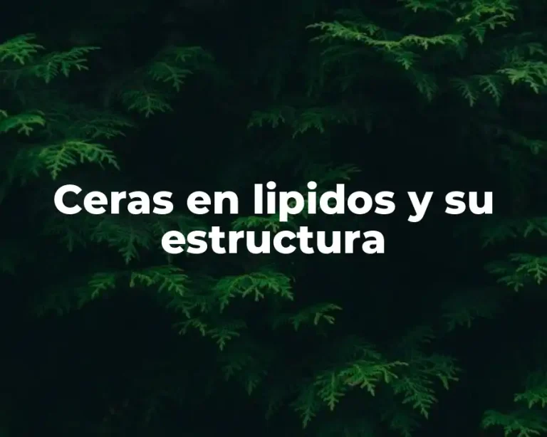 Ceras en lipidos y su estructura
