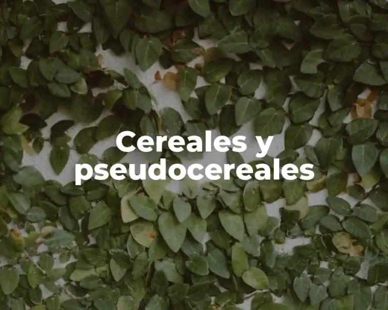 Cereales y pseudocereales