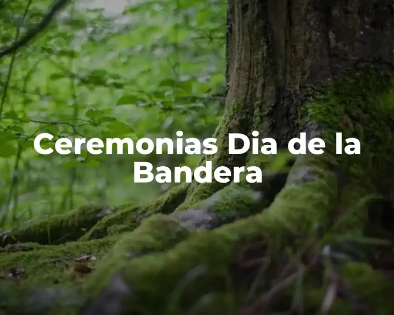 Ceremonias Dia de la Bandera