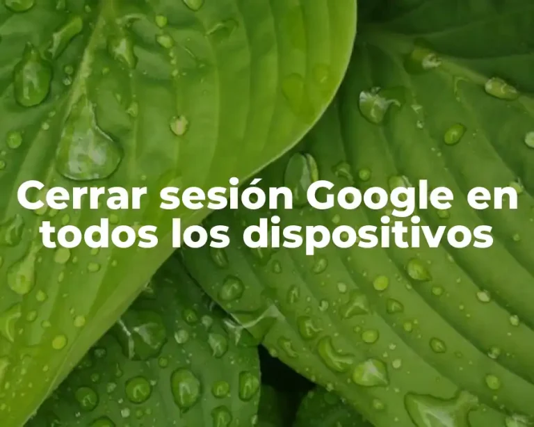 Cerrar sesión Google en todos los dispositivos