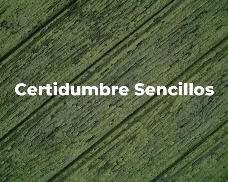 Certidumbre Sencillos