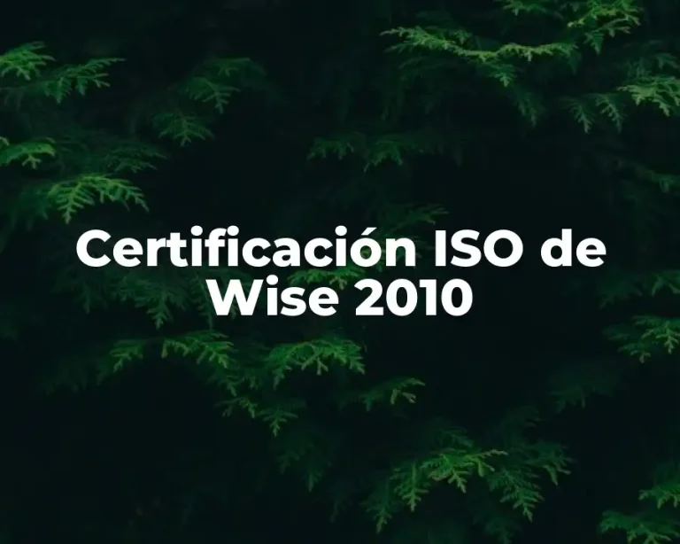 Certificación ISO de Wise 2010