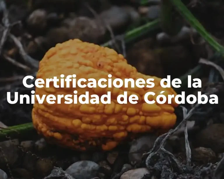 Certificaciones de la Universidad de Córdoba