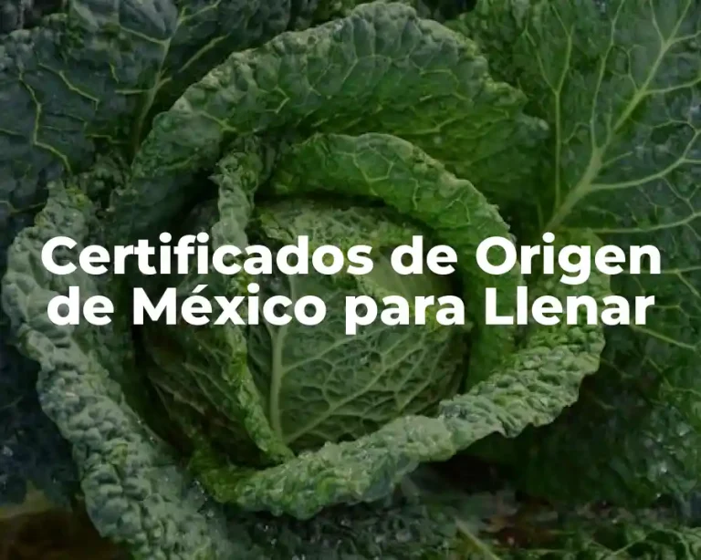 Certificados de Origen de México para Llenar
