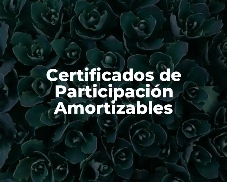 Certificados de Participación Amortizables
