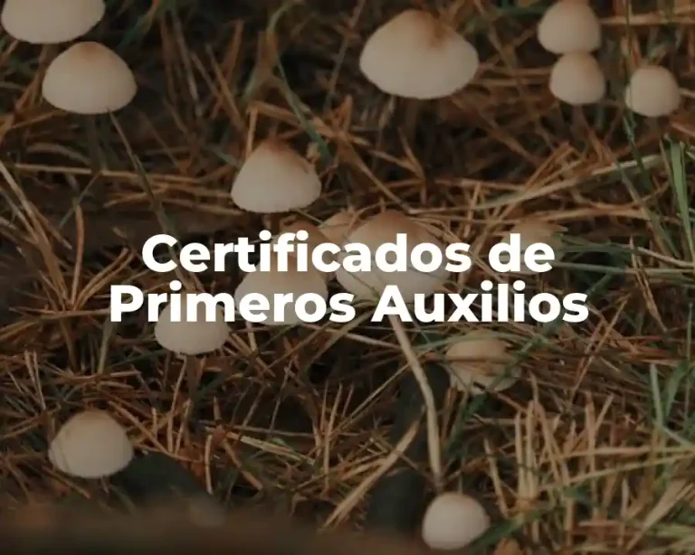 Certificados de Primeros Auxilios