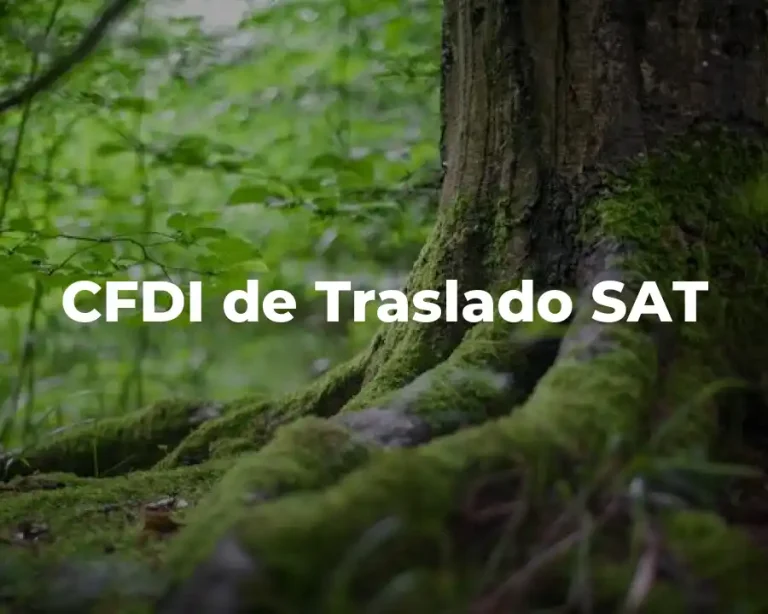 CFDI de Traslado SAT