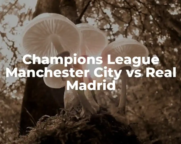 Champions League Manchester City vs Real Madrid