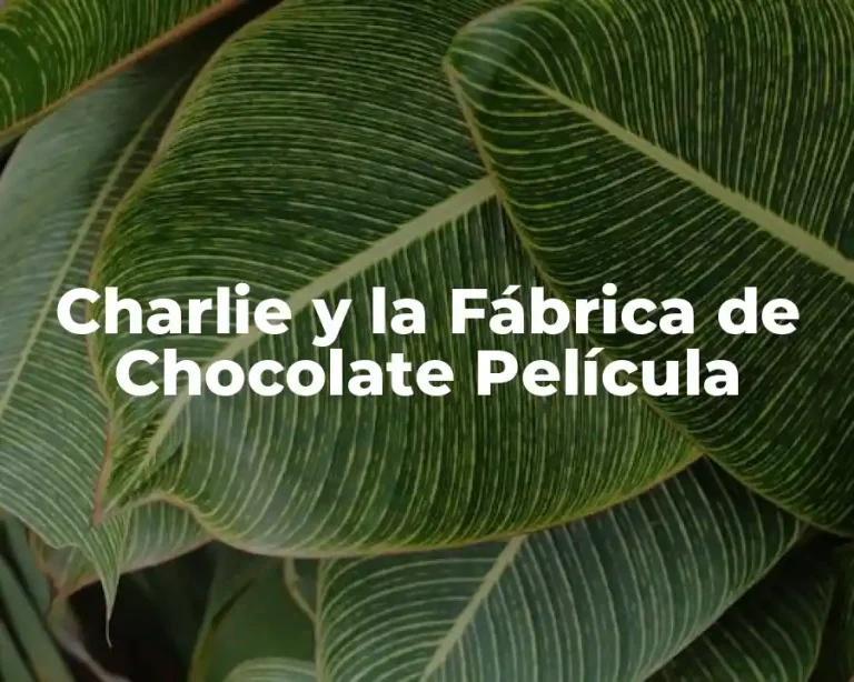 Charlie y la Fábrica de Chocolate Película