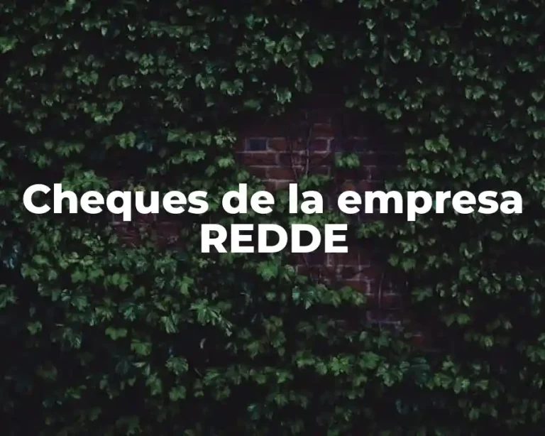 Cheques de la empresa REDDE