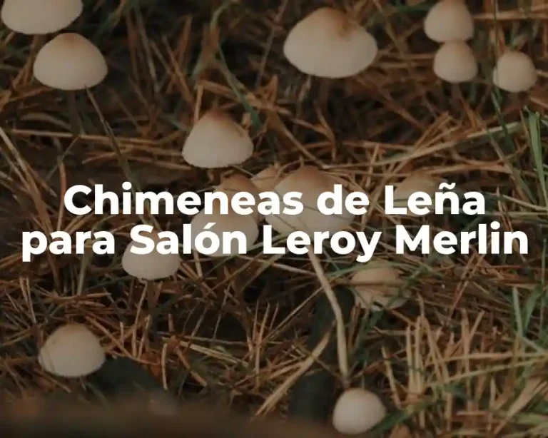 Chimeneas de Leña para Salón Leroy Merlin