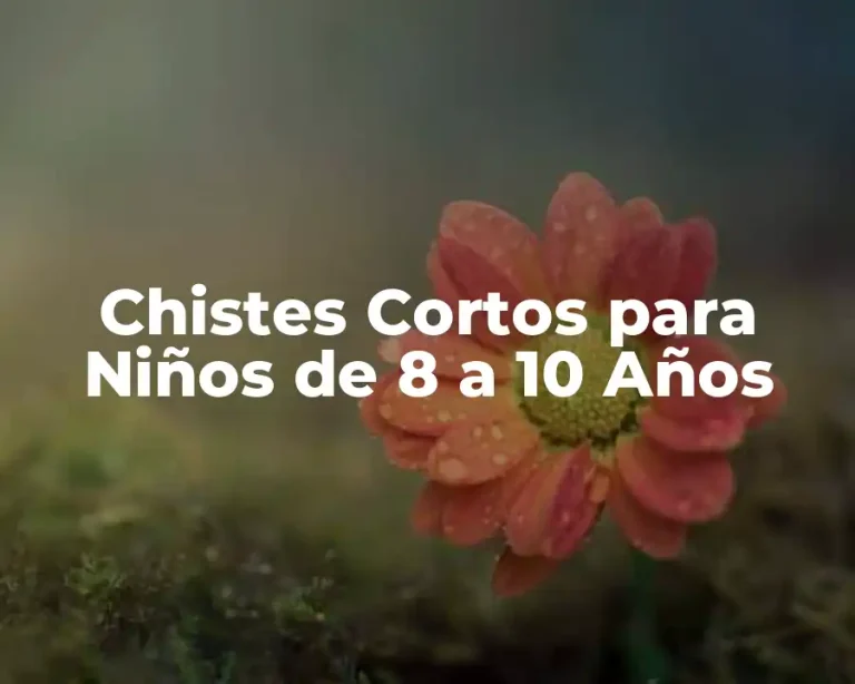 Chistes Cortos para Niños de 8 a 10 Años